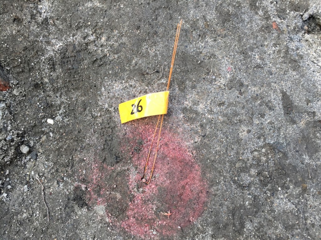2017-02-24 13.55.52